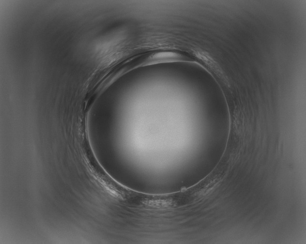 X0000053010449200507081304