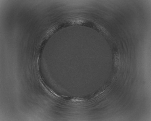 X0000053010451200507081304