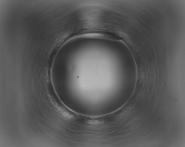 X0000053010453200507081304