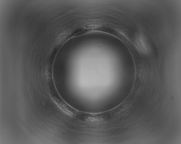 X0000053010455200507081304