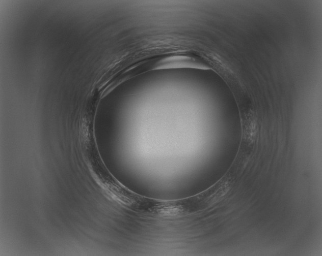 X0000053010456200507081304