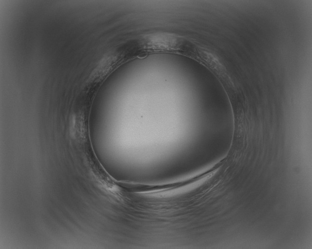 X0000053010457200507081304