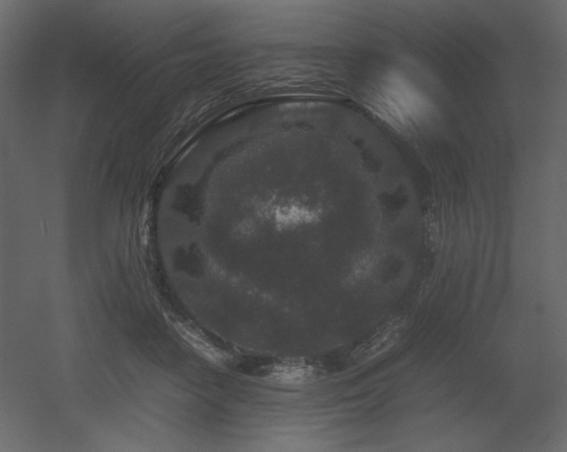 X0000053010458200507081304
