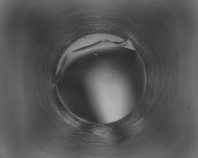 X0000053010459200507081304
