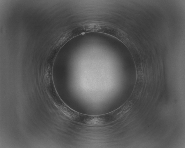 X0000053010460200507081304