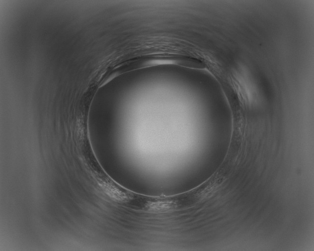 X0000053010461200507081304