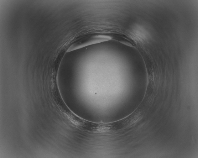 X0000053010462200507081304
