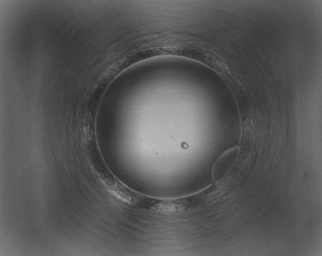 X0000053010464200507081304