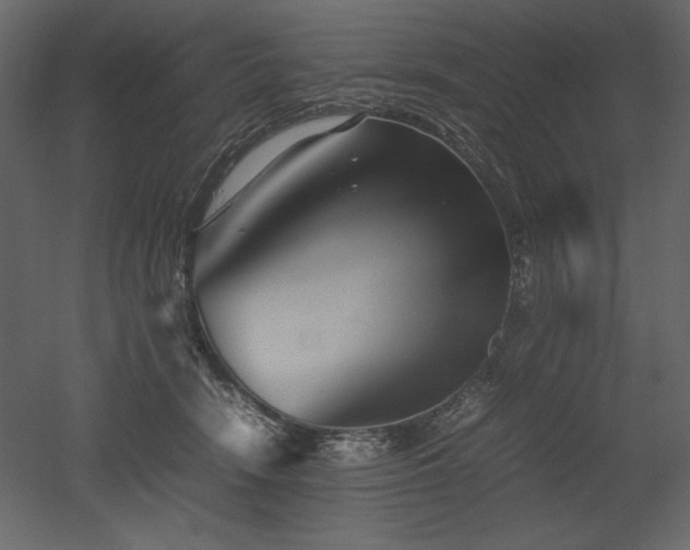 X0000053010466200507081304