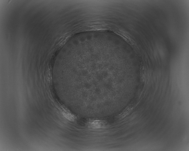 X0000053010467200507081304