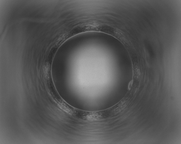 X0000053010468200507081304