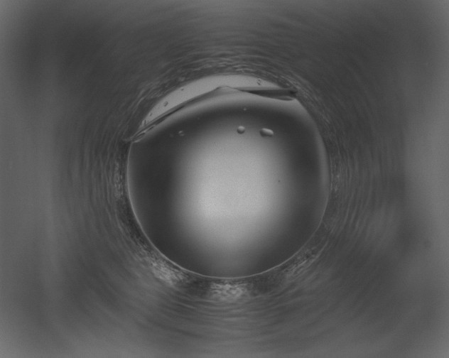 X0000053010469200507081304