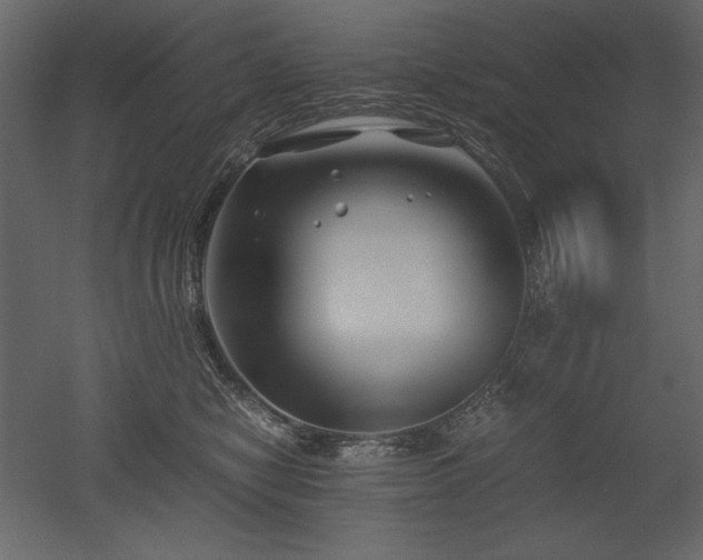X0000053010470200507081304