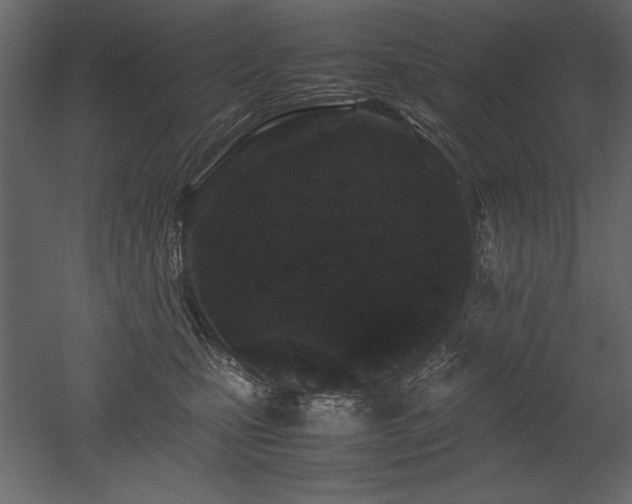 X0000053010471200507081304