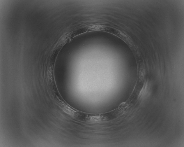 X0000053010473200507081304