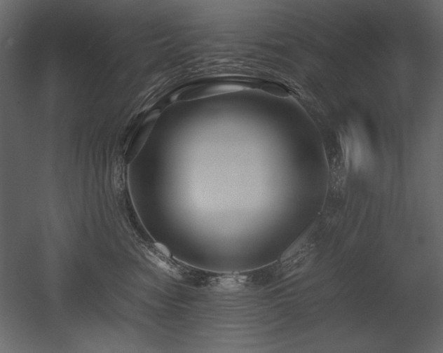 X0000053010474200507081304