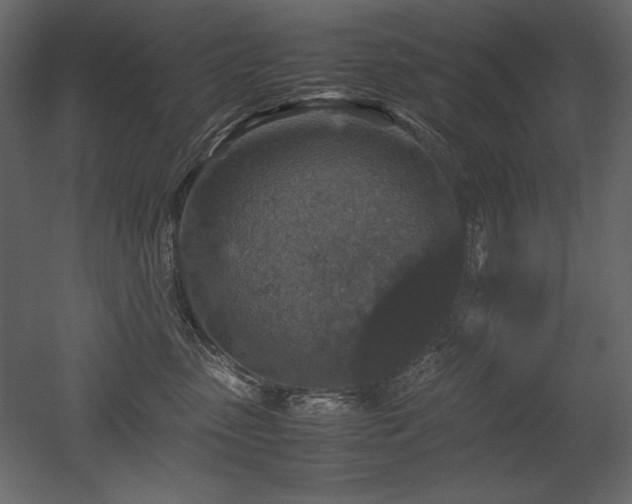 X0000053010475200507081304
