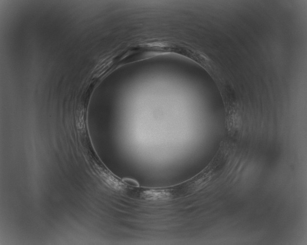 X0000053010477200507081304