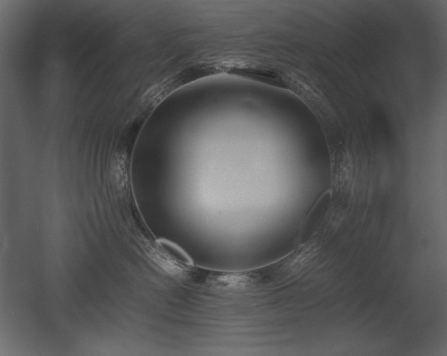 X0000053010478200507081304