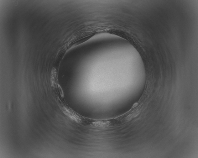 X0000053010480200507081304