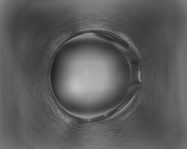 X0000053010481200507081303