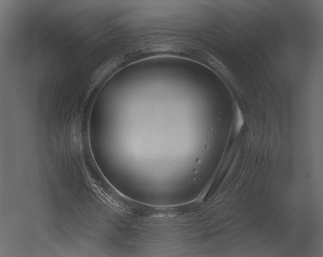 X0000053010482200507081303