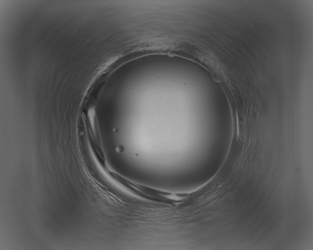 X0000053010483200507081303