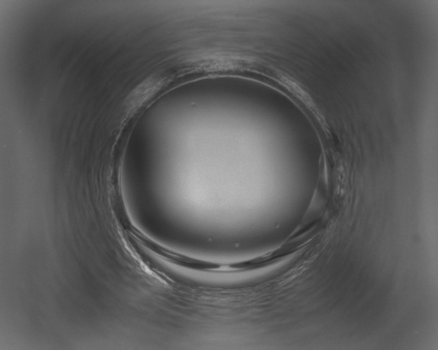 X0000053010485200507081303