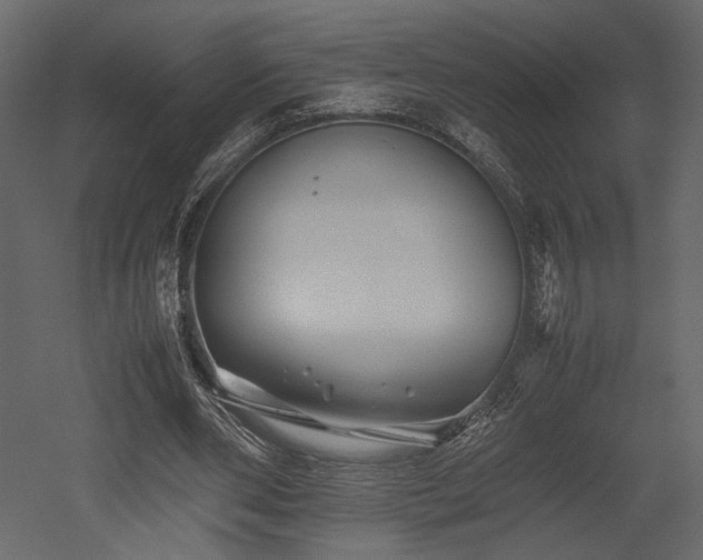 X0000053010486200507081303