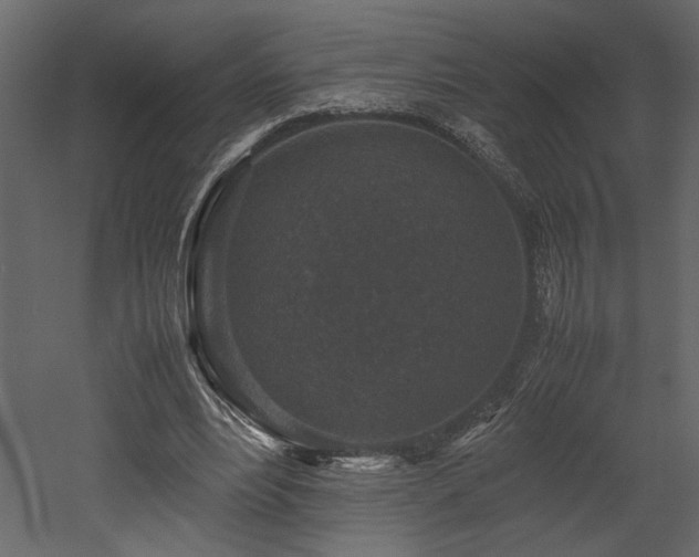 X0000053010488200507081303