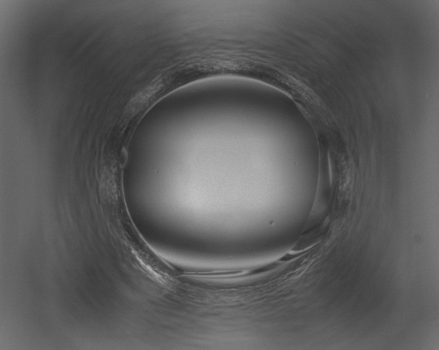 X0000053010489200507081303