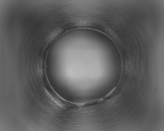 X0000053010490200507081303