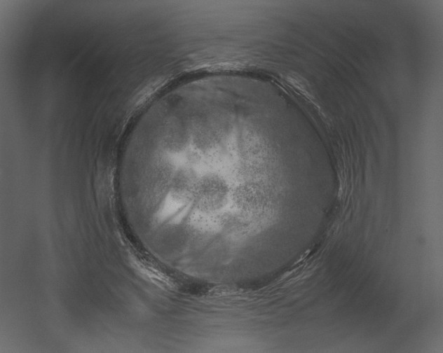 X0000053010491200507081303