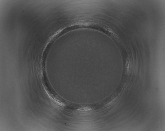 X0000053010492200507081303