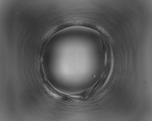 X0000053010493200507081303