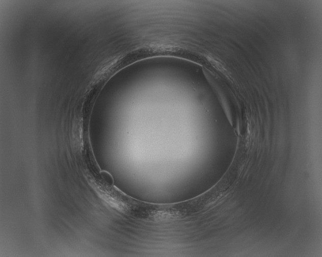 X0000053010494200507081303