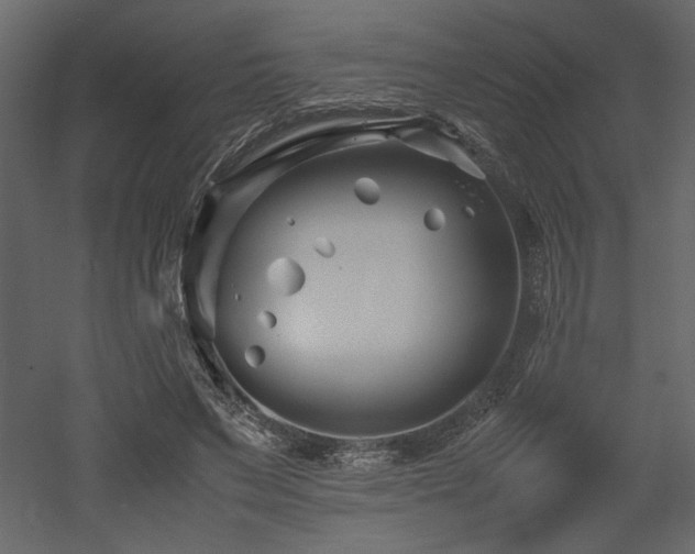 X0000053010495200507081303