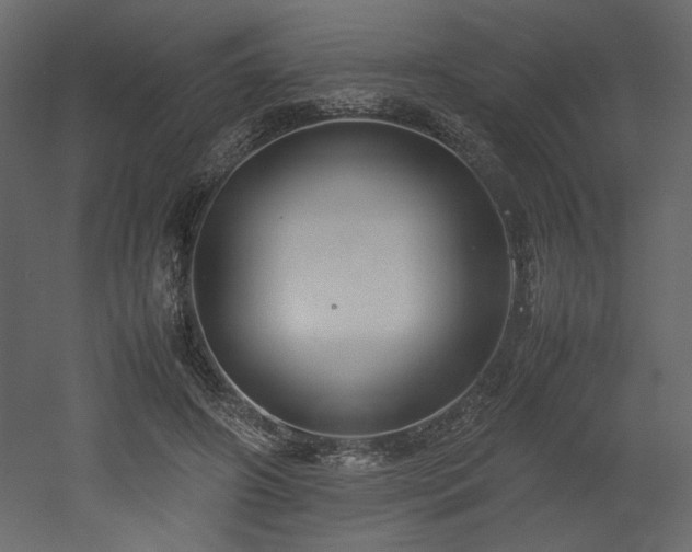 X0000053010498200507081303