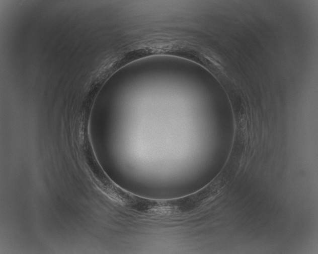 X0000053010499200507081303