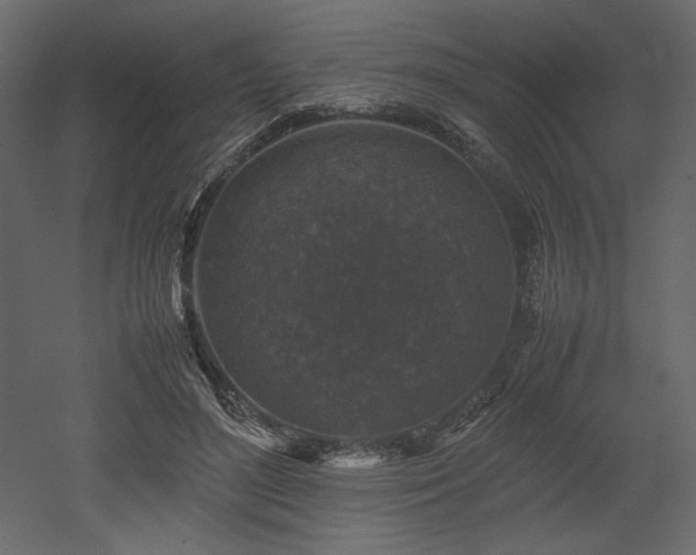 X0000053010500200507081303