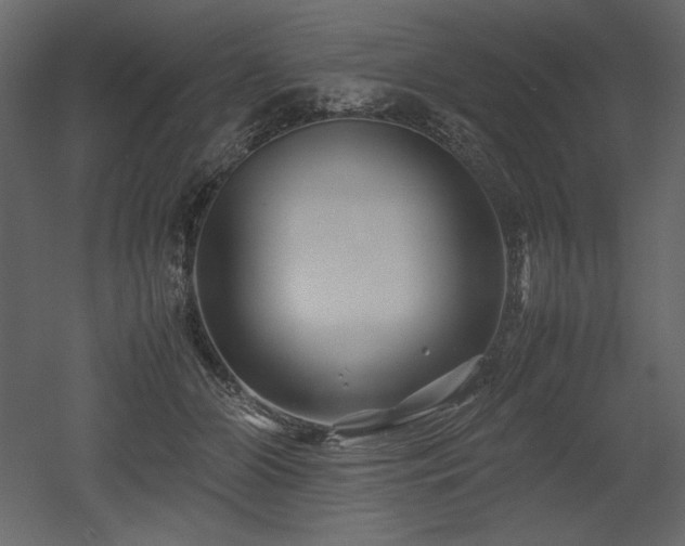 X0000053010510200507081303