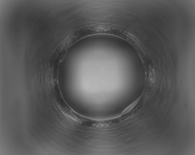 X0000053010512200507081303