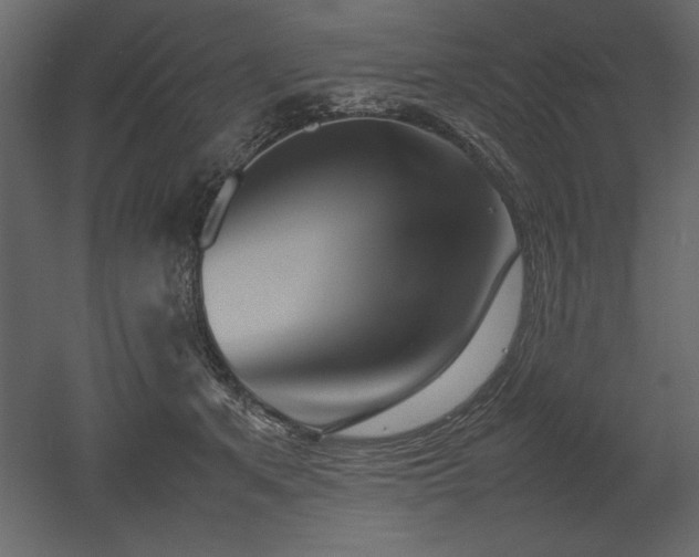 X0000053010513200507081303