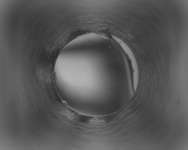 X0000053010515200507081303
