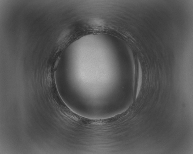 X0000053010516200507081303