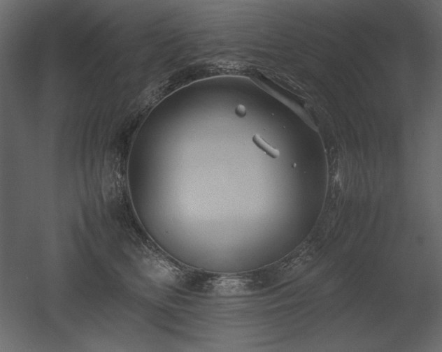 X0000053010518200507081303