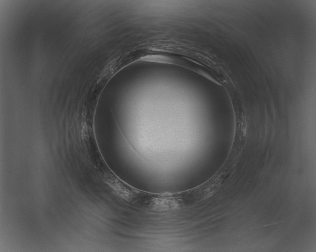 X0000053010520200507081303