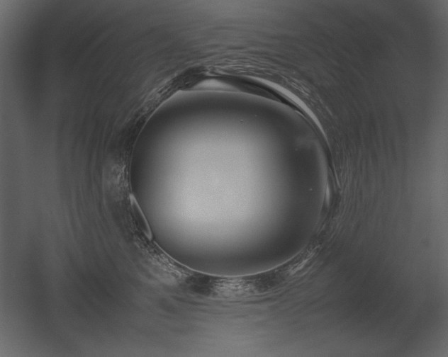 X0000053010521200507081303