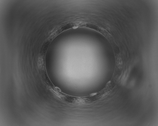 X0000053010523200507081303