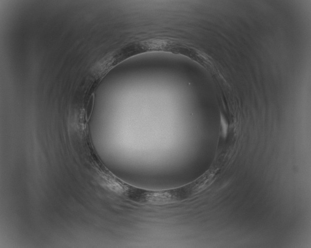 X0000053010525200507081303